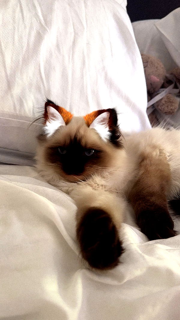 xxxtinacarmella image ~ Altpins