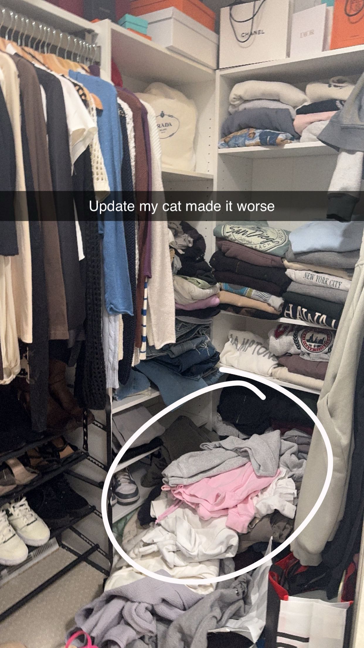 xxxtinacarmella snapchat image archive image