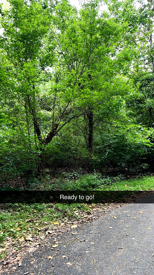 xxxtinacarmella image ~ Altpins