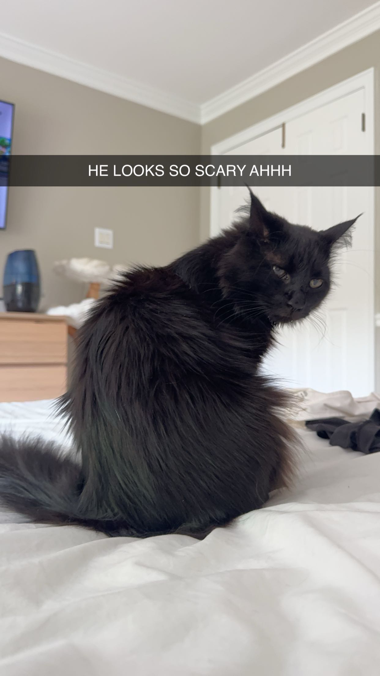 xxxtinacarmella snapchat image archive image