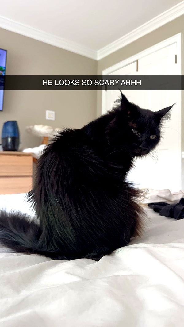 xxxtinacarmella image ~ Altpins