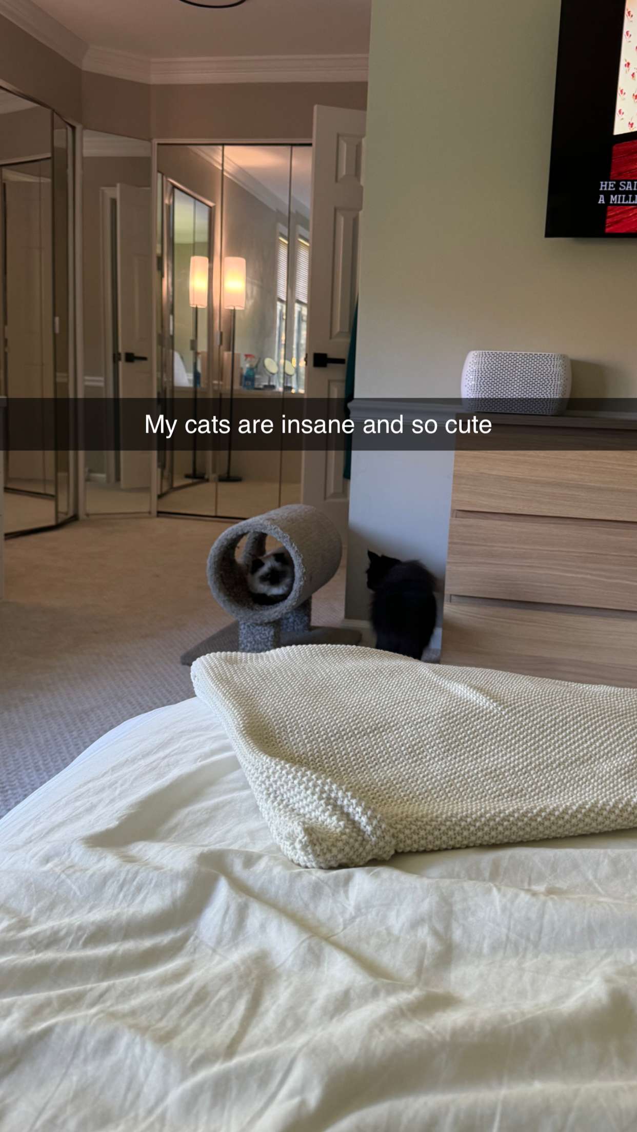 xxxtinacarmella snapchat image archive image