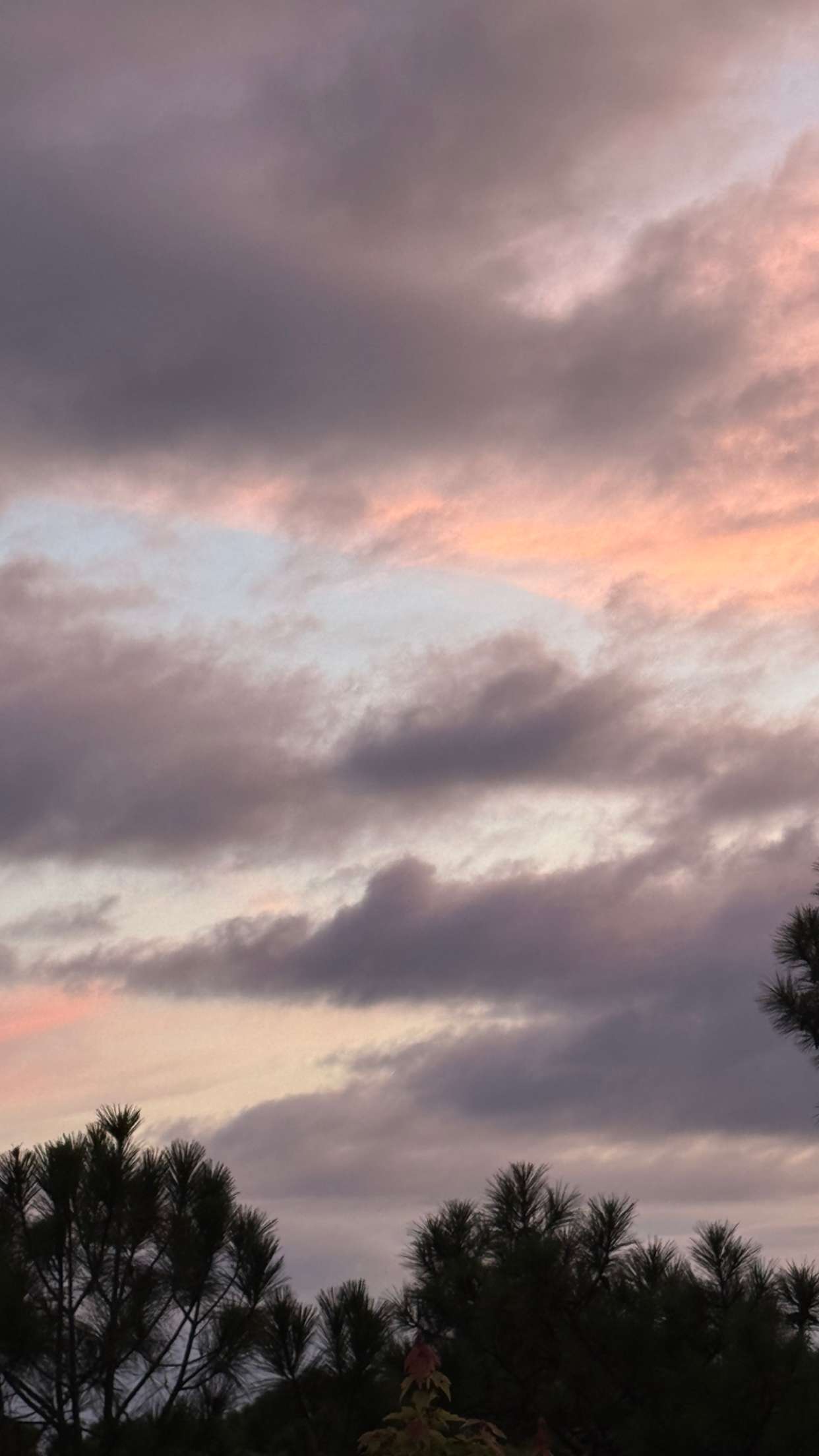 xxxtinacarmella snapchat image archive image