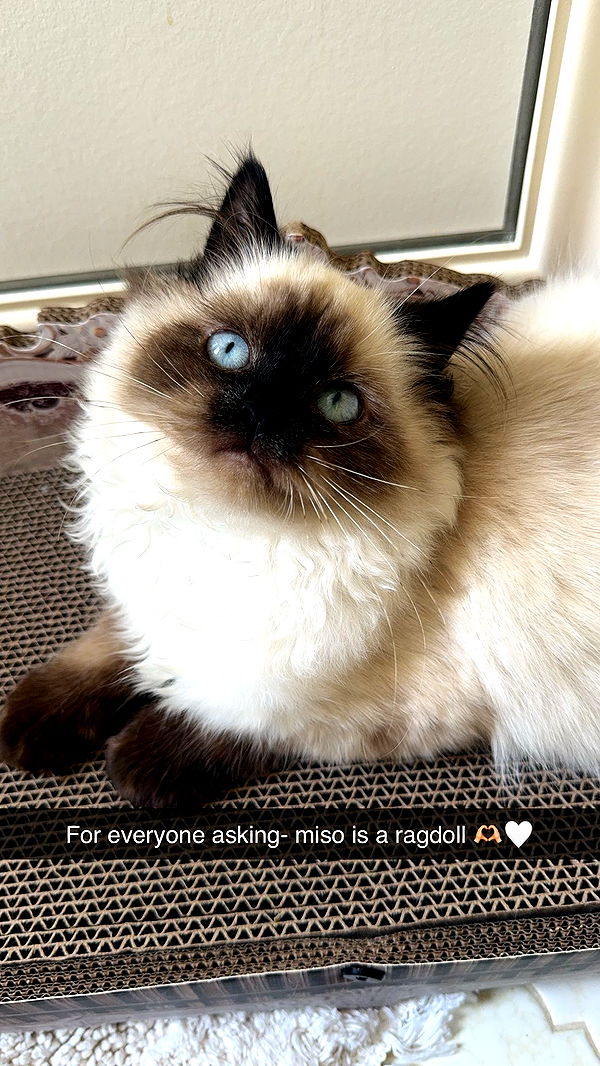 xxxtinacarmella image ~ Altpins