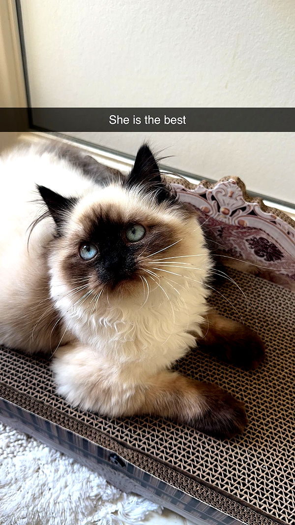 xxxtinacarmella image ~ Altpins