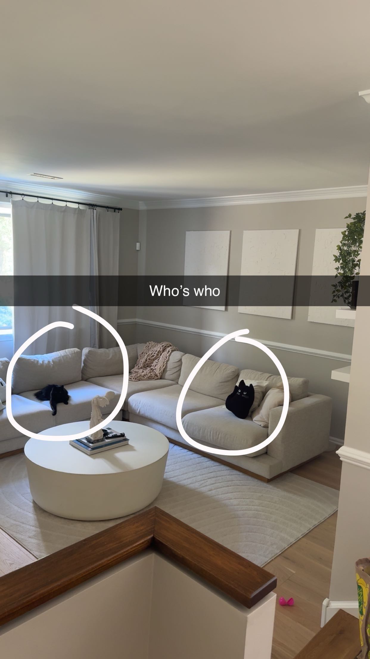 xxxtinacarmella snapchat image archive image