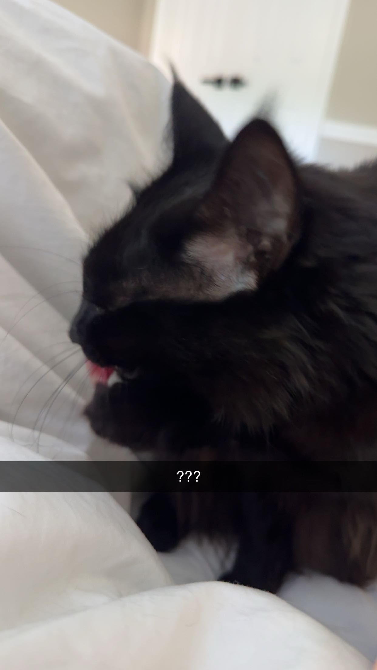 xxxtinacarmella snapchat image archive image