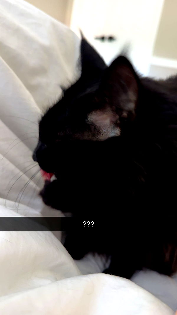 xxxtinacarmella image ~ Altpins