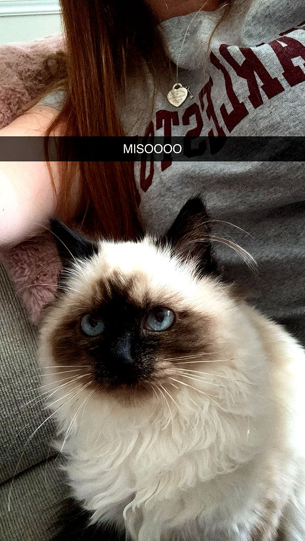 xxxtinacarmella image ~ Altpins