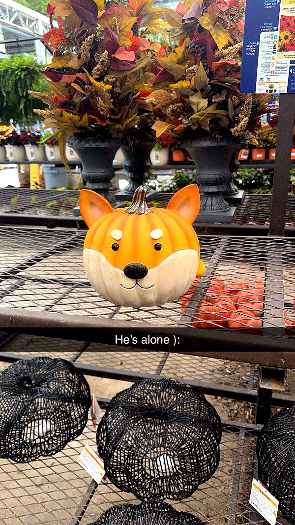 xxxtinacarmella image ~ Altpins