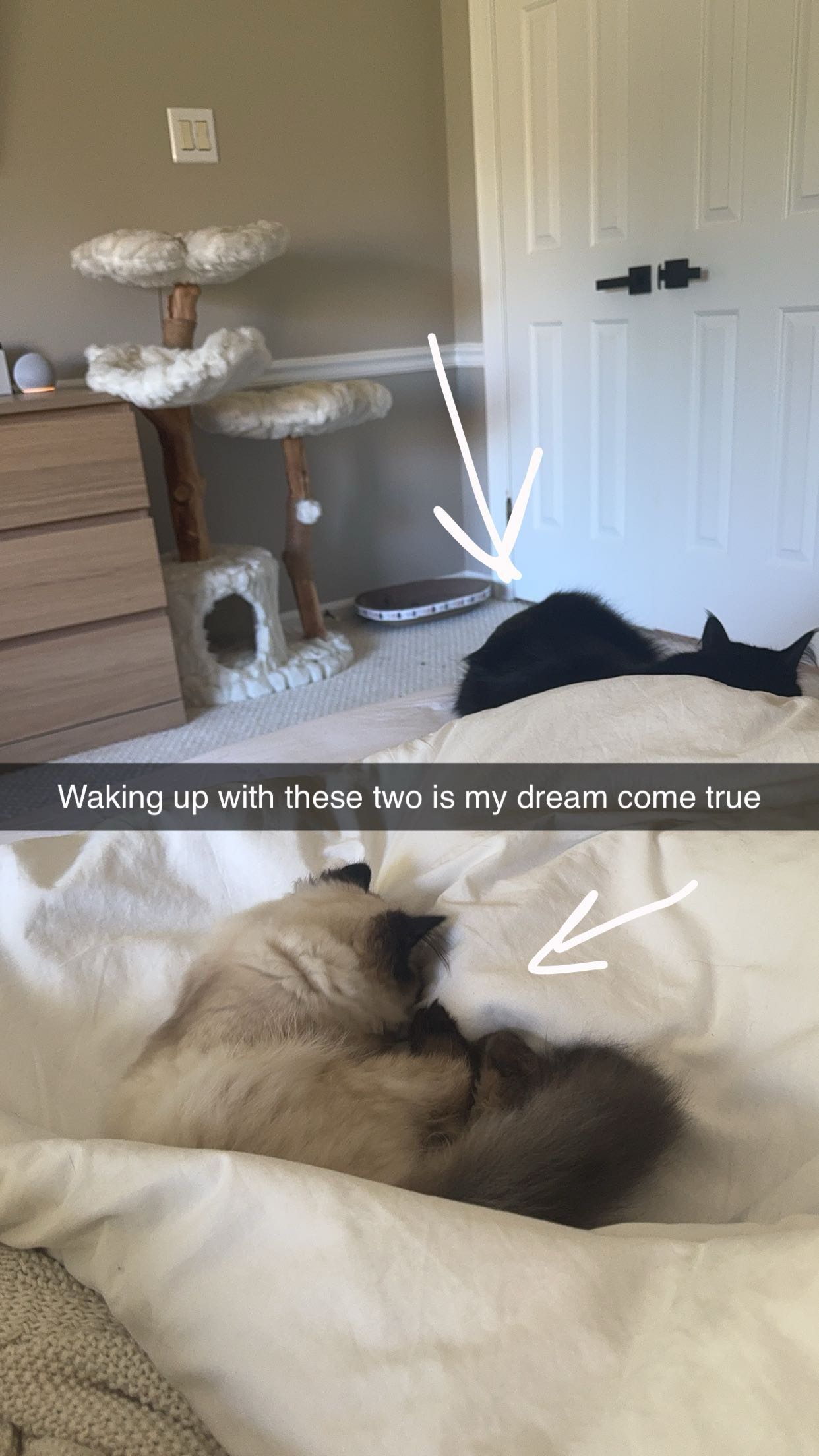 xxxtinacarmella snapchat image archive image