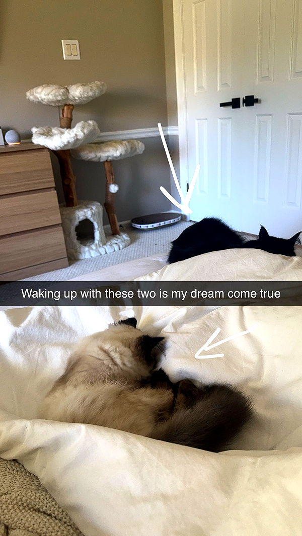 xxxtinacarmella image ~ Altpins