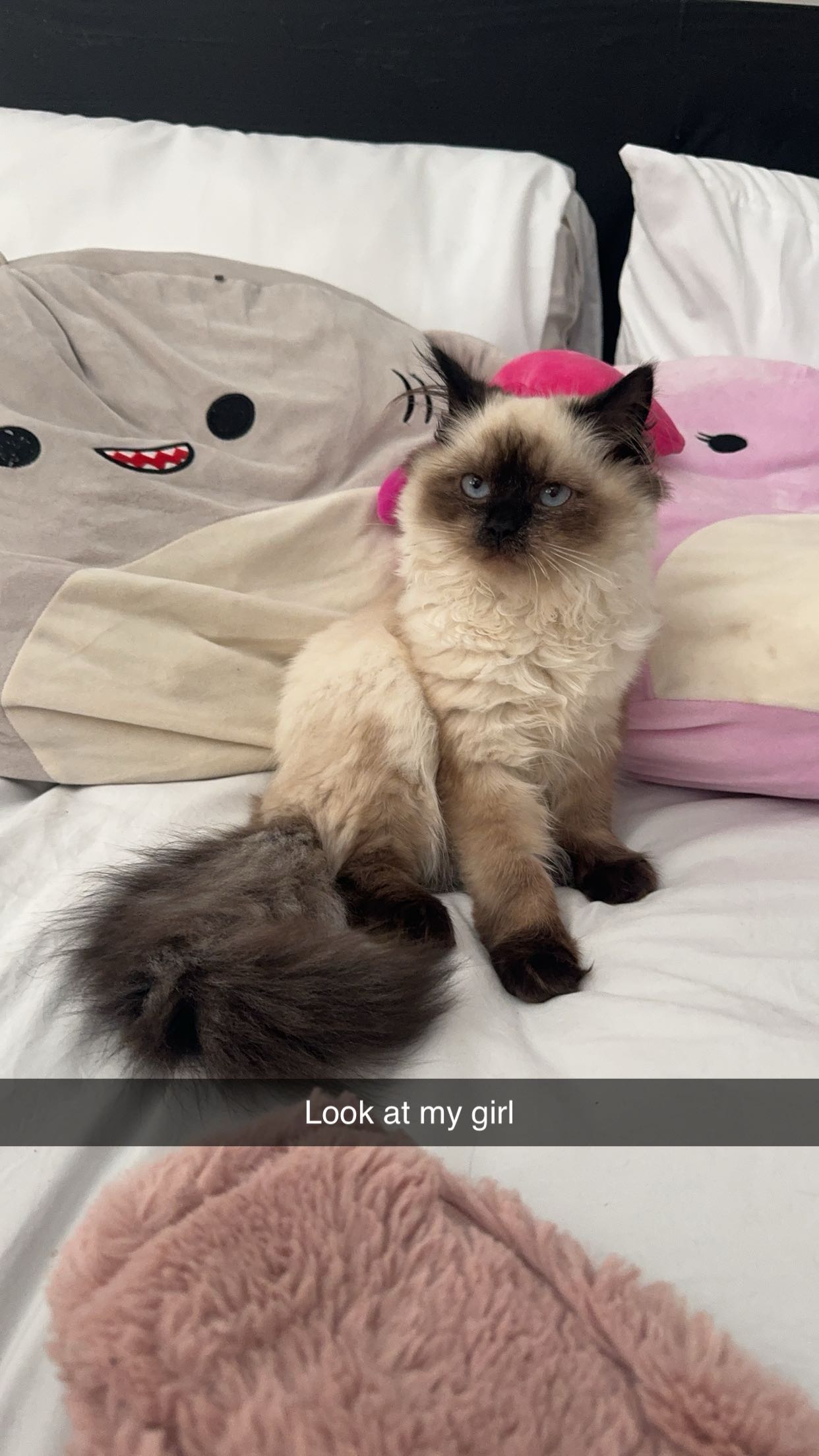 xxxtinacarmella snapchat image archive image