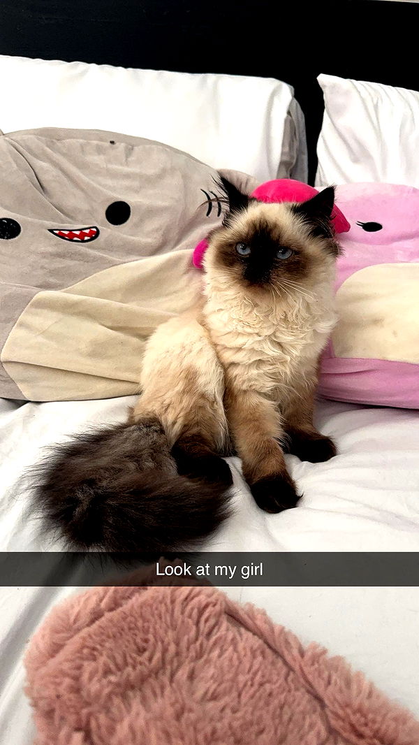 xxxtinacarmella image ~ Altpins