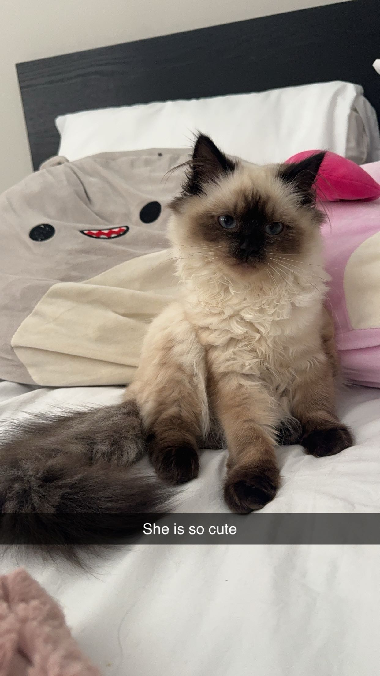 xxxtinacarmella snapchat image archive image