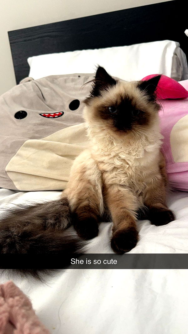 xxxtinacarmella image ~ Altpins