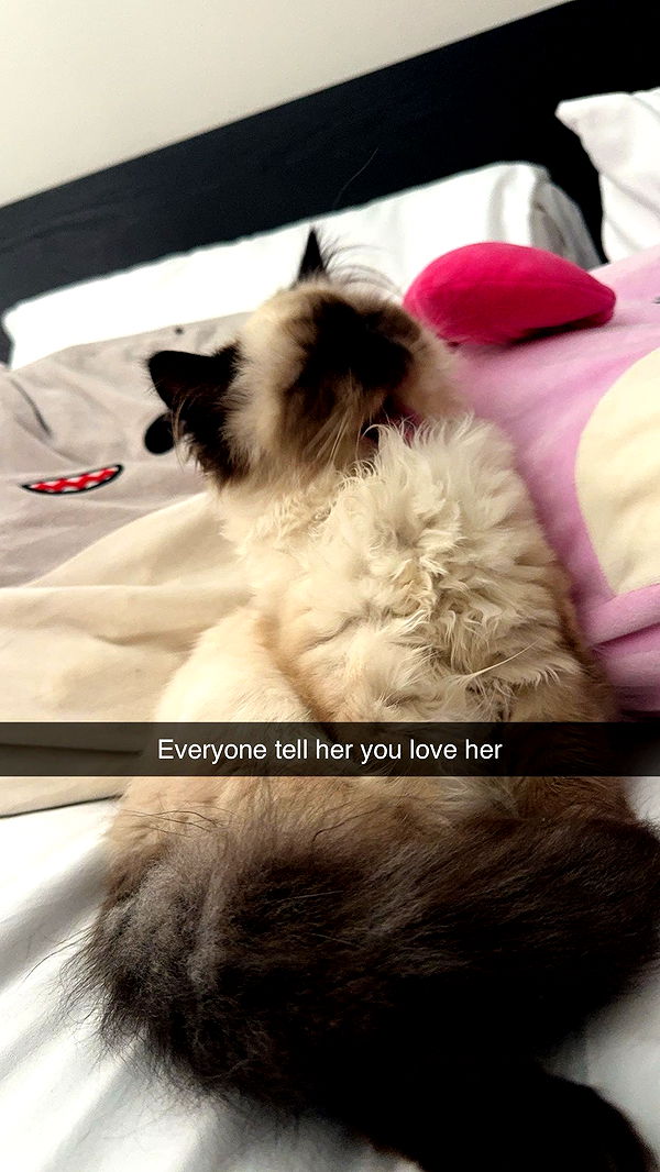 xxxtinacarmella image ~ Altpins