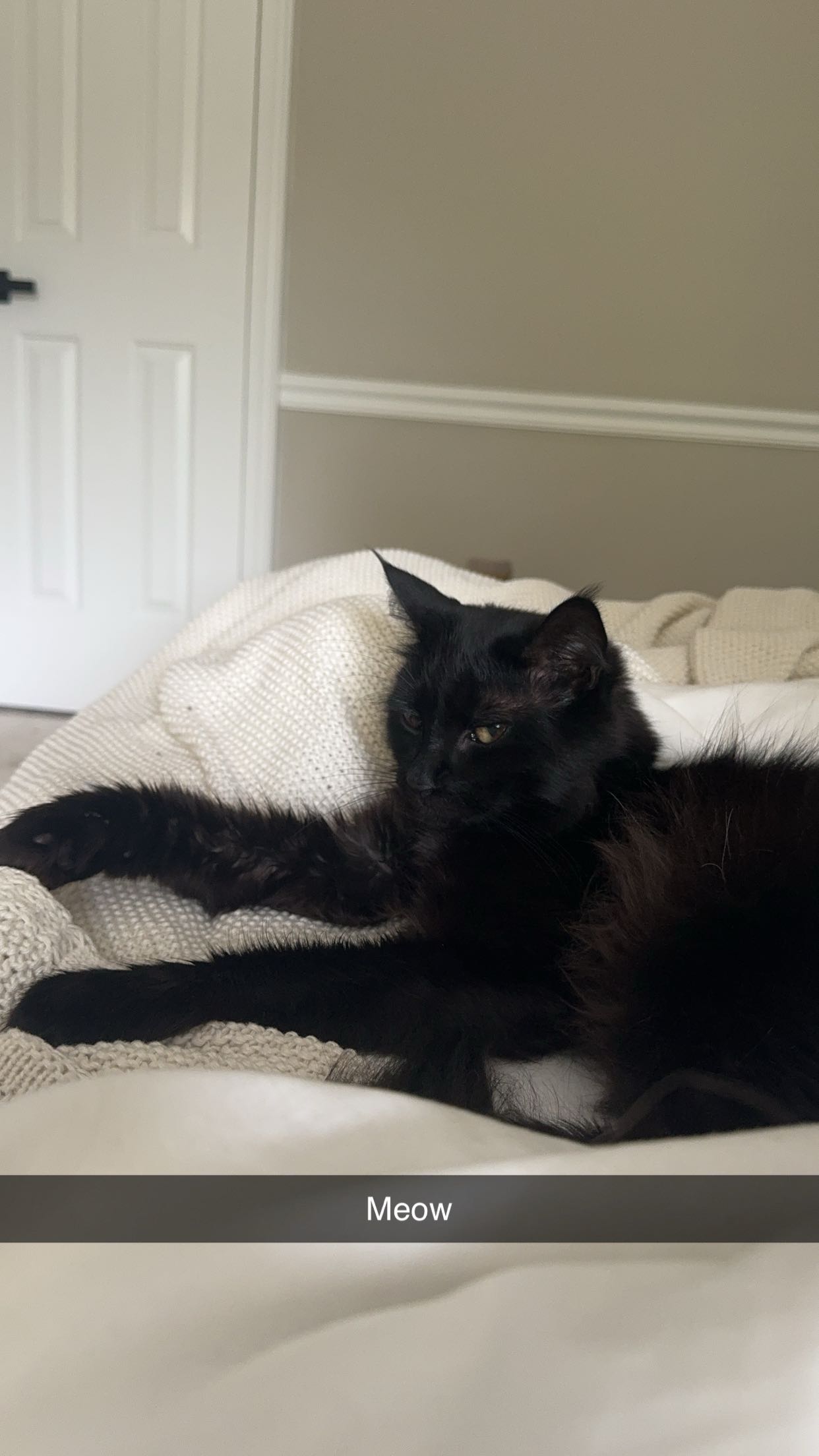 xxxtinacarmella snapchat image archive image