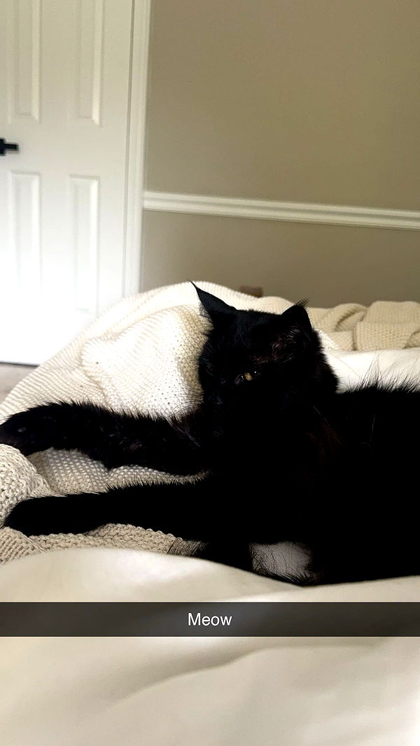 xxxtinacarmella image ~ Altpins