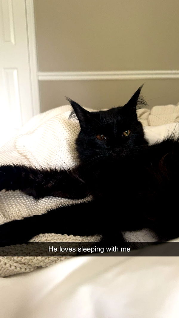 xxxtinacarmella image ~ Altpins