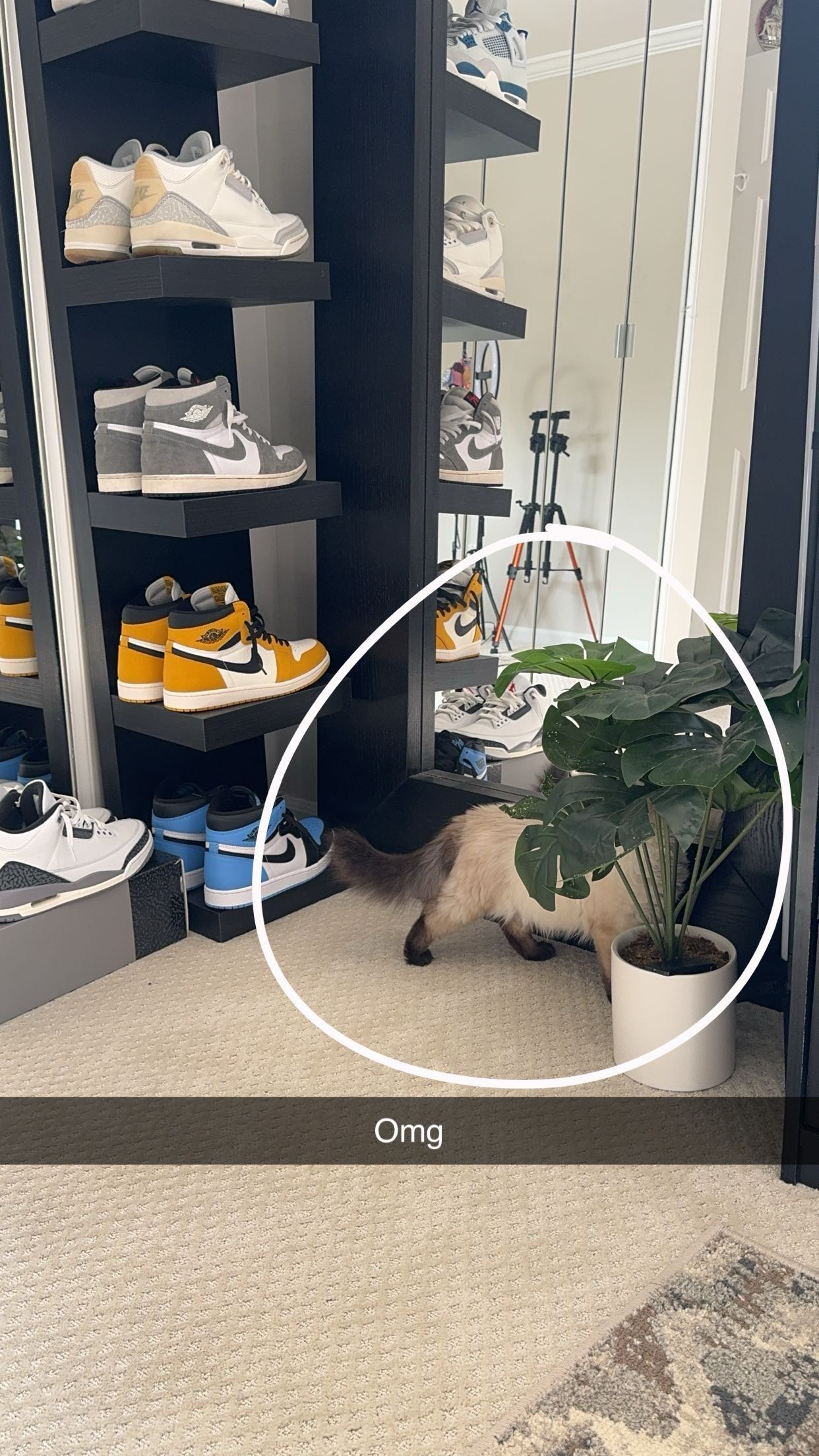 xxxtinacarmella snapchat image archive image