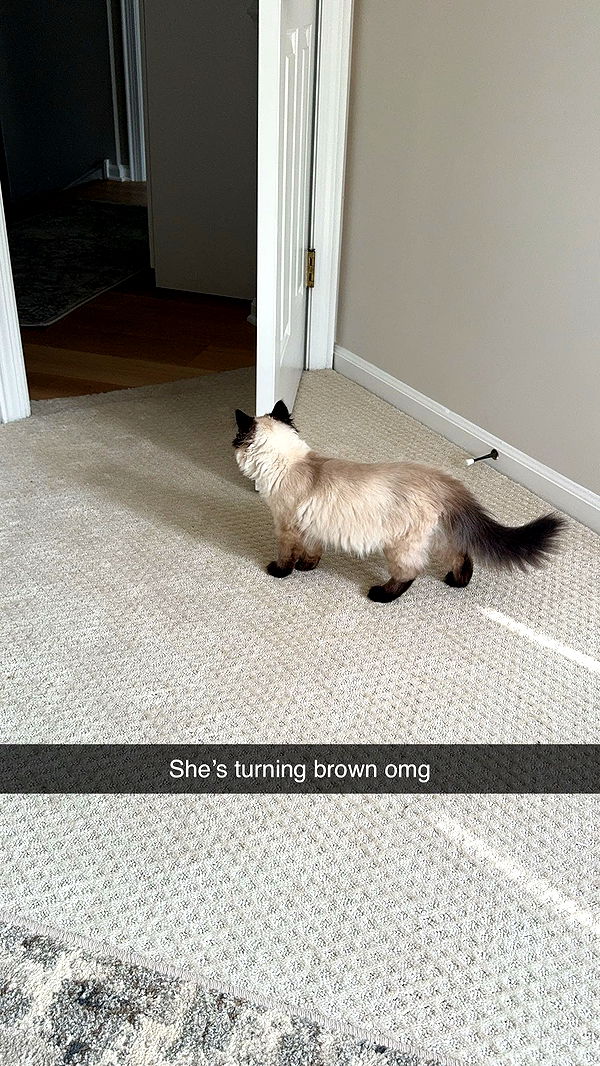 xxxtinacarmella image ~ Altpins