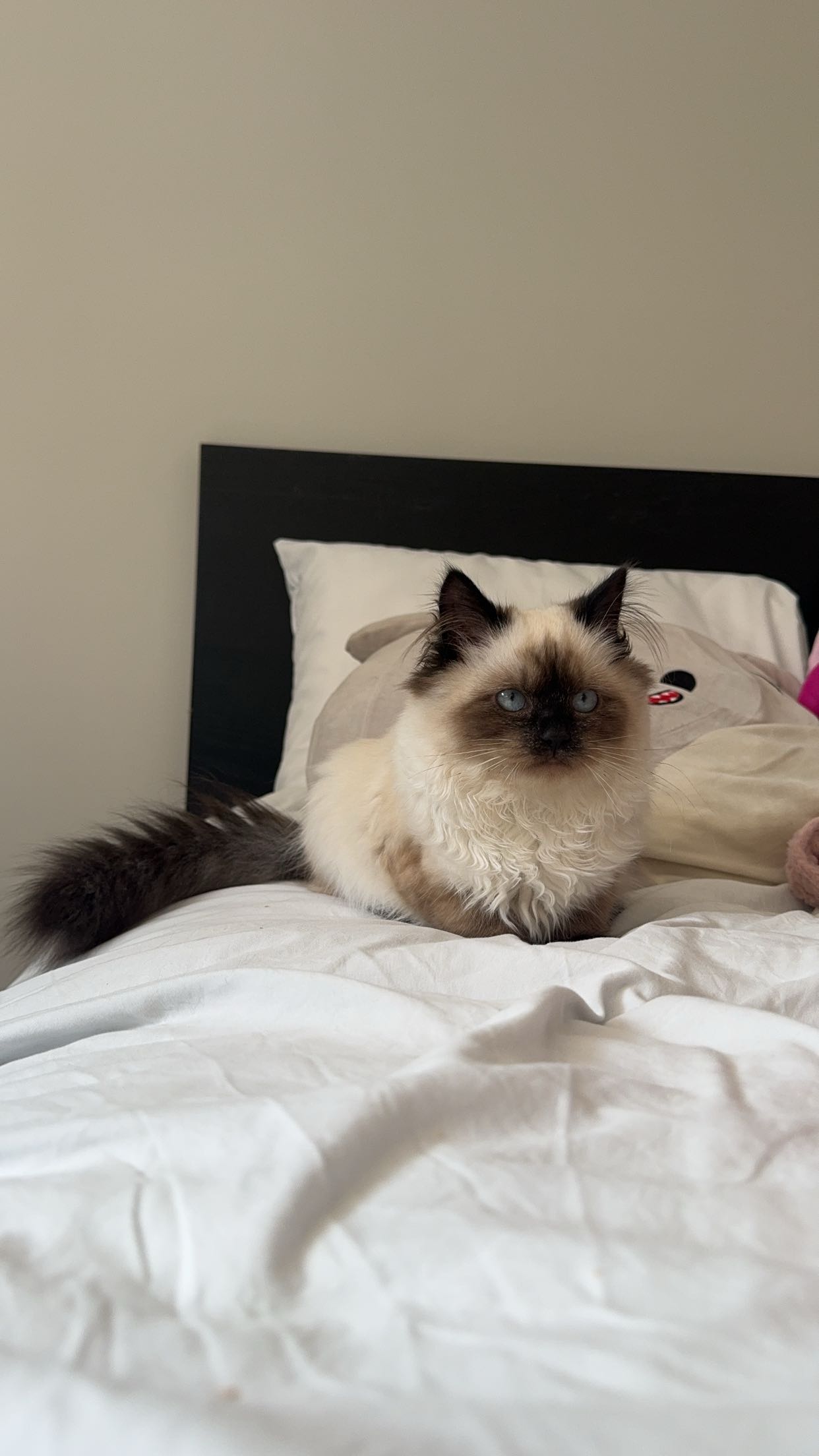 xxxtinacarmella snapchat image archive image