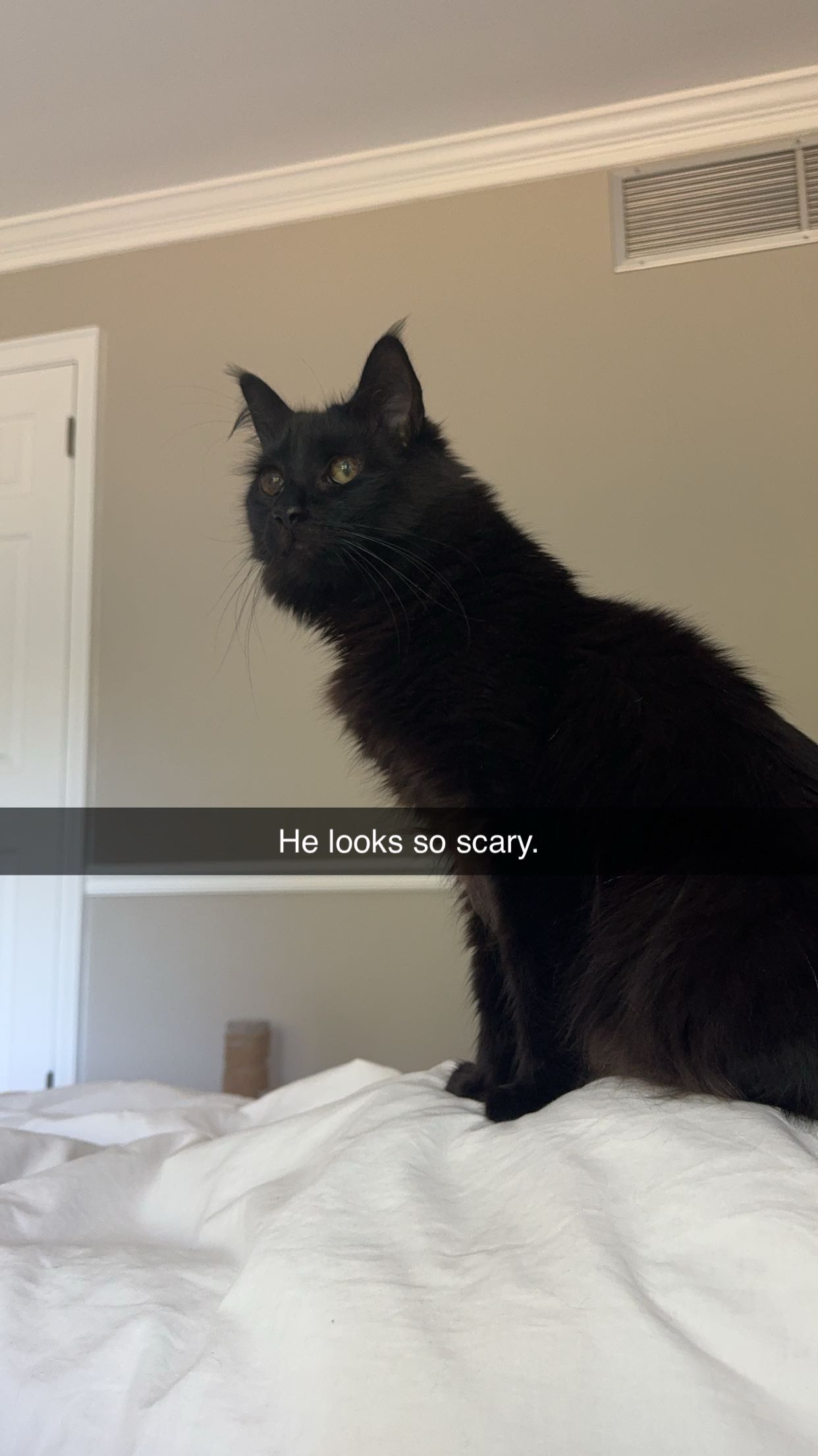 xxxtinacarmella snapchat image archive image