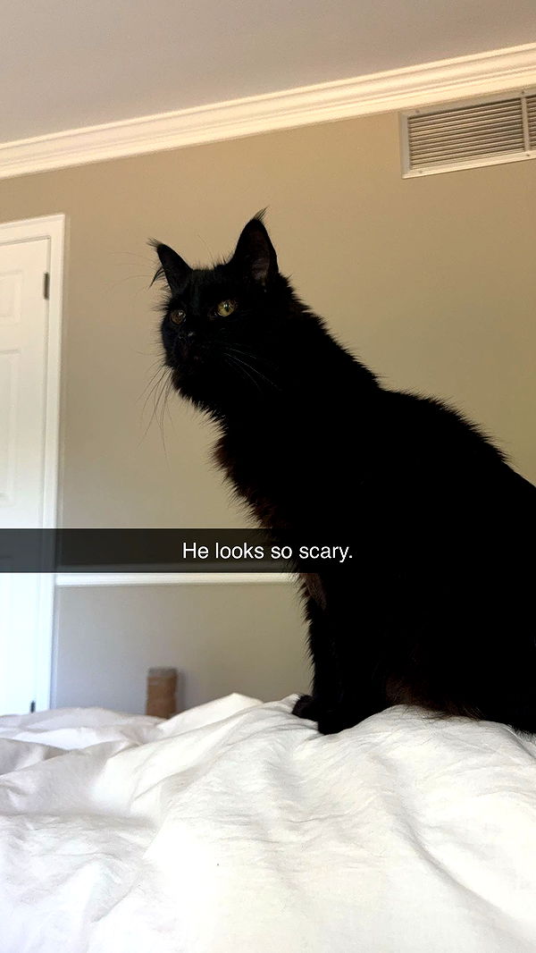 xxxtinacarmella image ~ Altpins