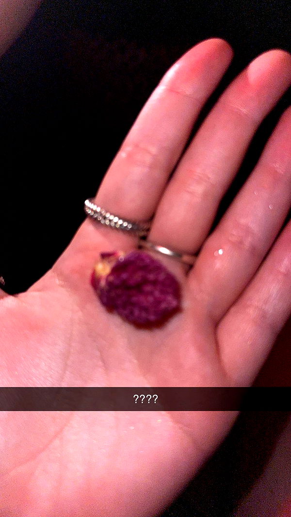 xxxtinacarmella image ~ Altpins