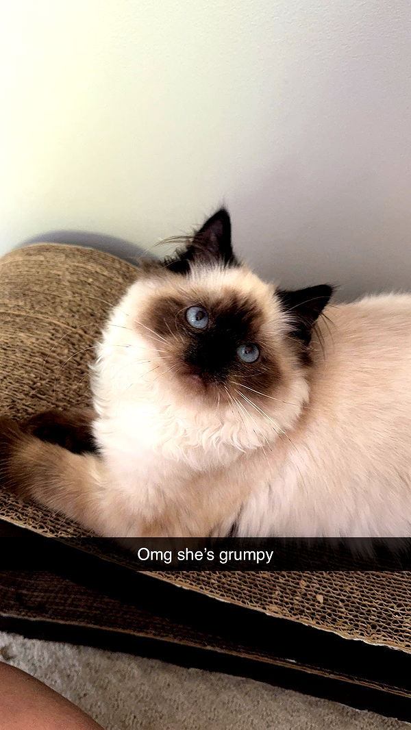 xxxtinacarmella image ~ Altpins