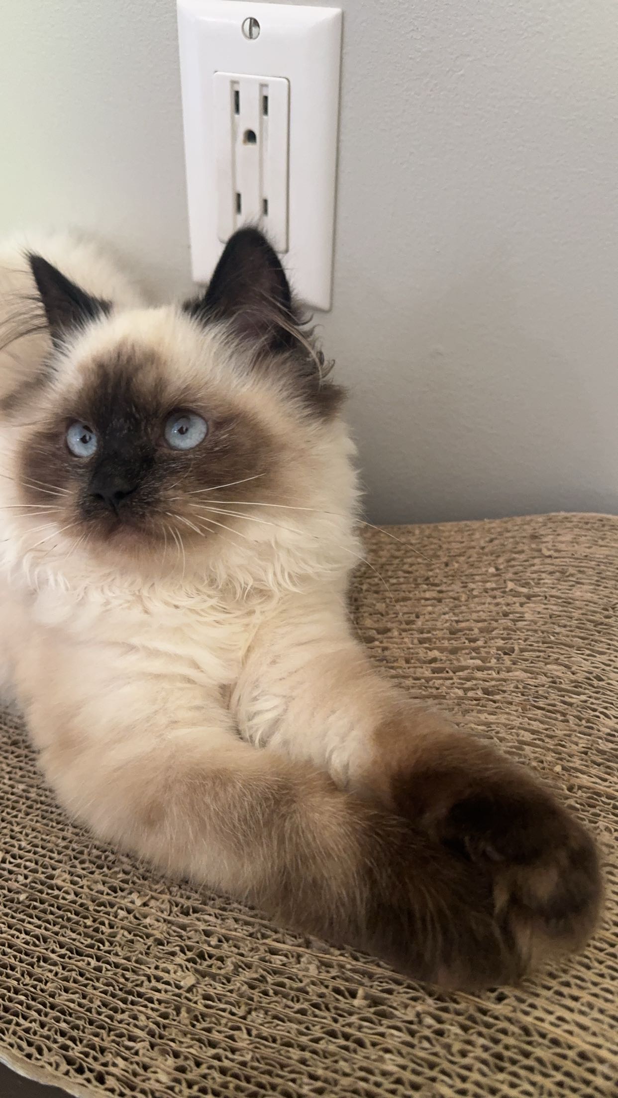 xxxtinacarmella snapchat image archive image