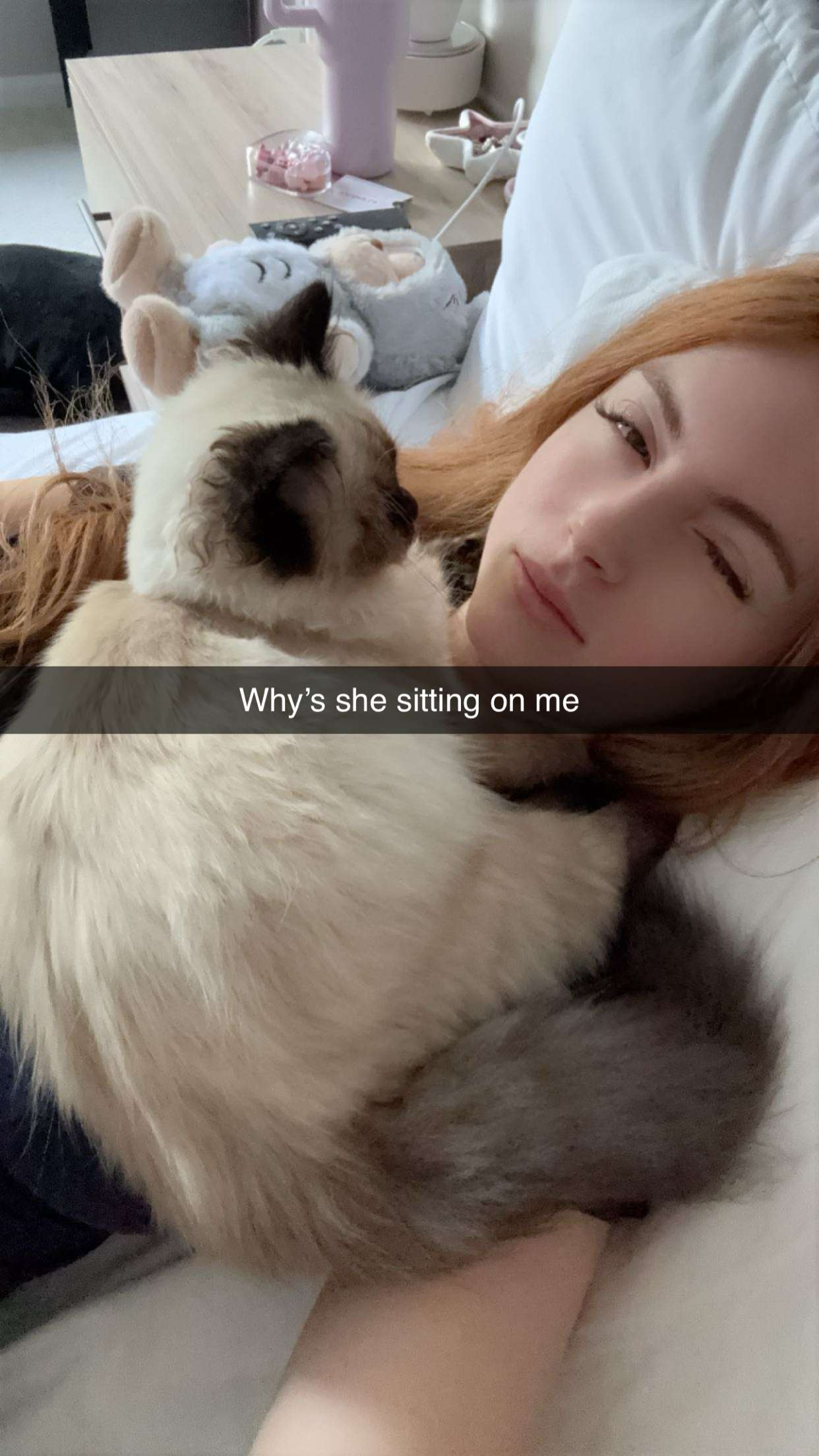 xxxtinacarmella snapchat image archive image