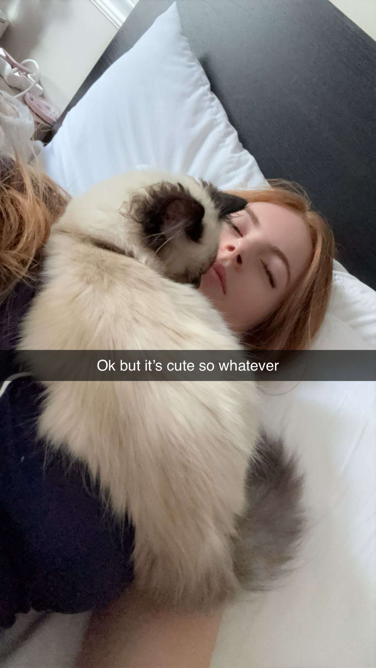 xxxtinacarmella snapchat image archive image