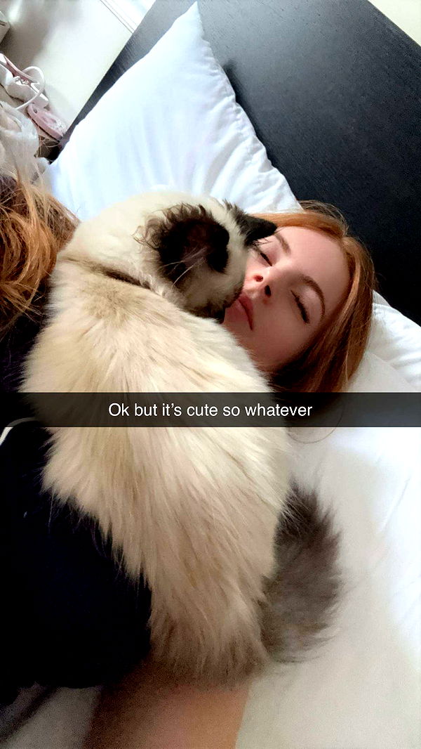 xxxtinacarmella image ~ Altpins