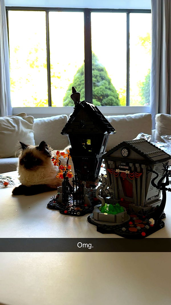 xxxtinacarmella image ~ Altpins