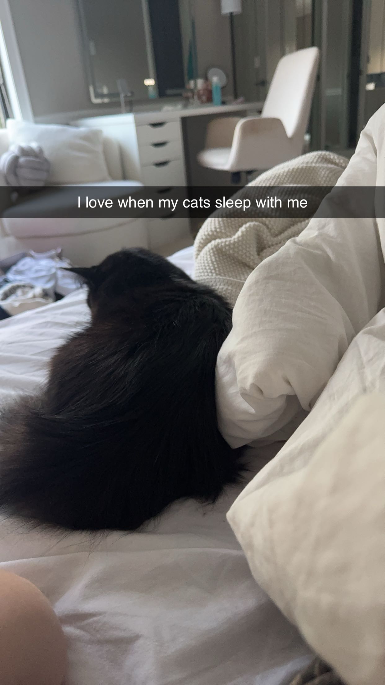 xxxtinacarmella snapchat image archive image