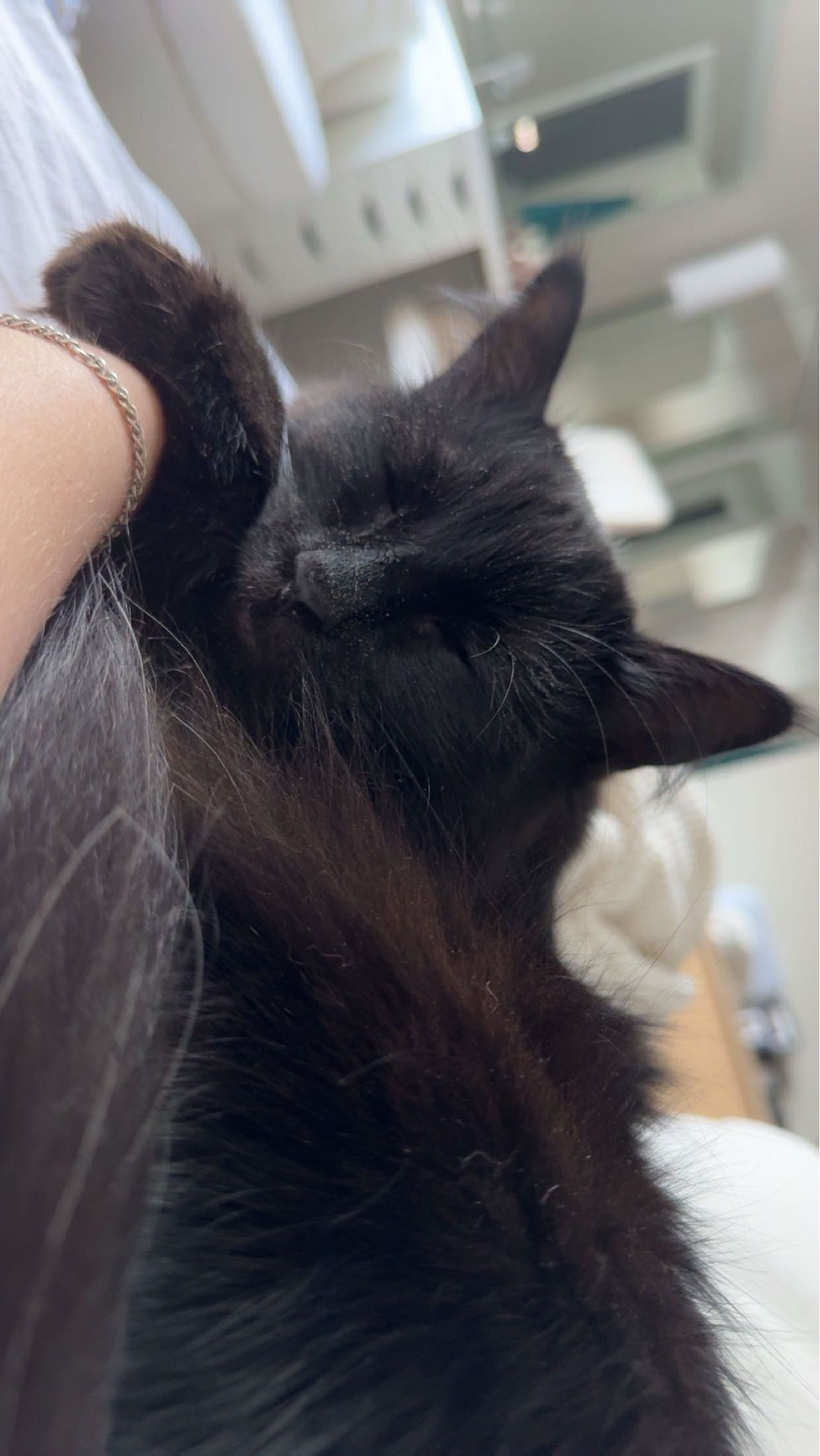 xxxtinacarmella snapchat image archive image