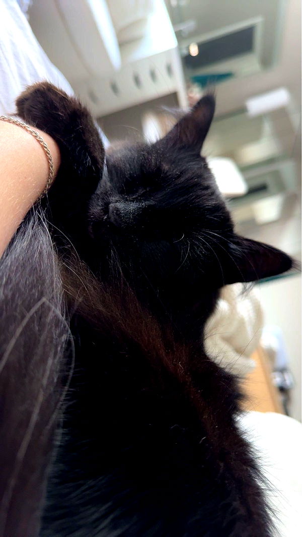 xxxtinacarmella image ~ Altpins