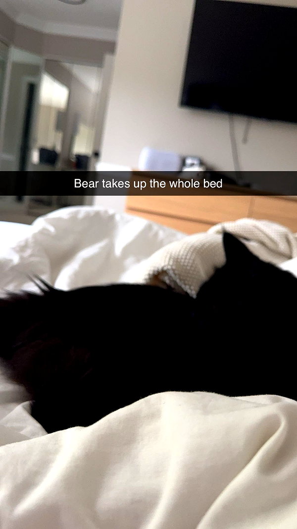 xxxtinacarmella snapchat image archive image