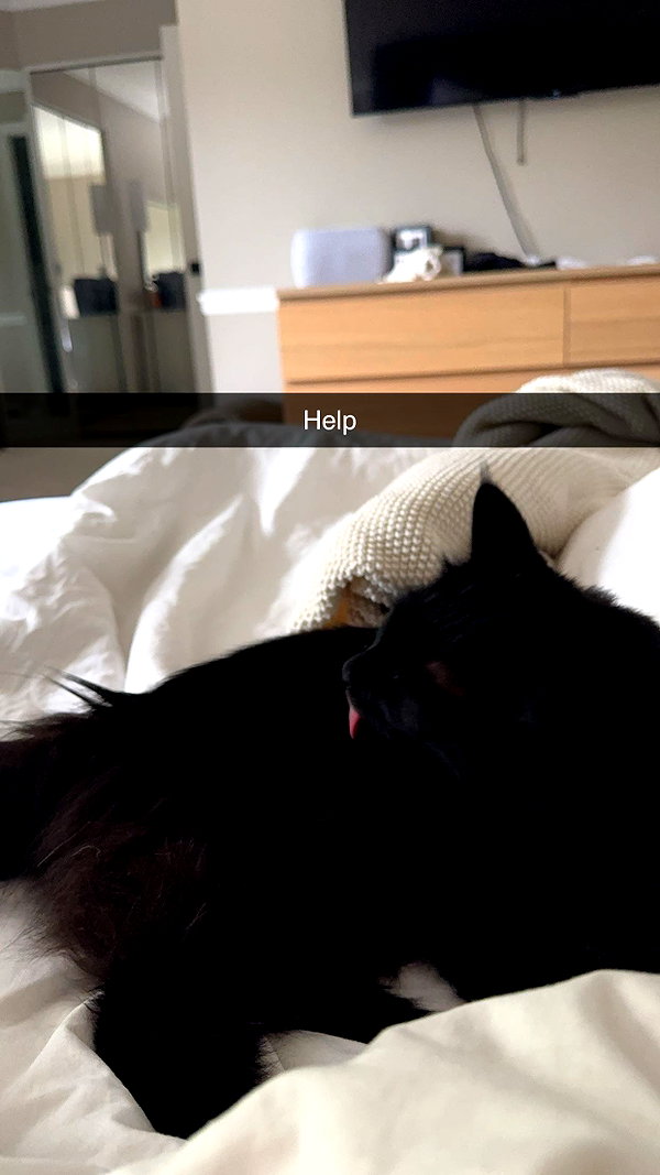 xxxtinacarmella snapchat image archive image
