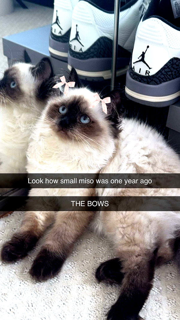 xxxtinacarmella snapchat image archive image