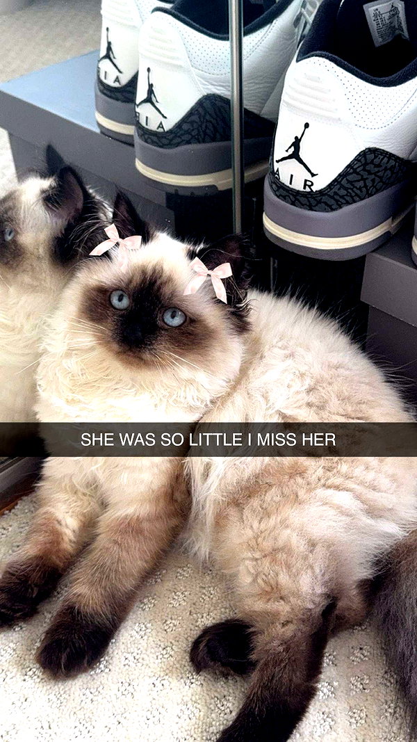 xxxtinacarmella snapchat image archive image