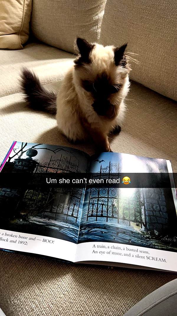 xxxtinacarmella snapchat image archive image