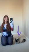 xxxtinacarmella Altpins Profile Picture
