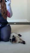 xxxtinacarmella Altpins Profile Picture