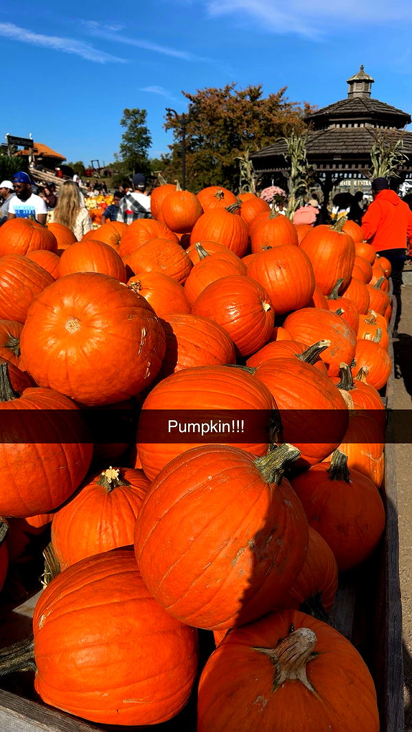 xxxtinacarmella image ~ Altpins