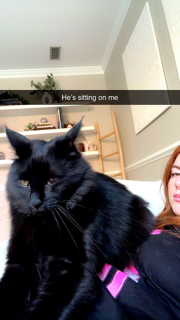 xxxtinacarmella image ~ Altpins