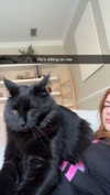 xxxtinacarmella Altpins Profile Picture