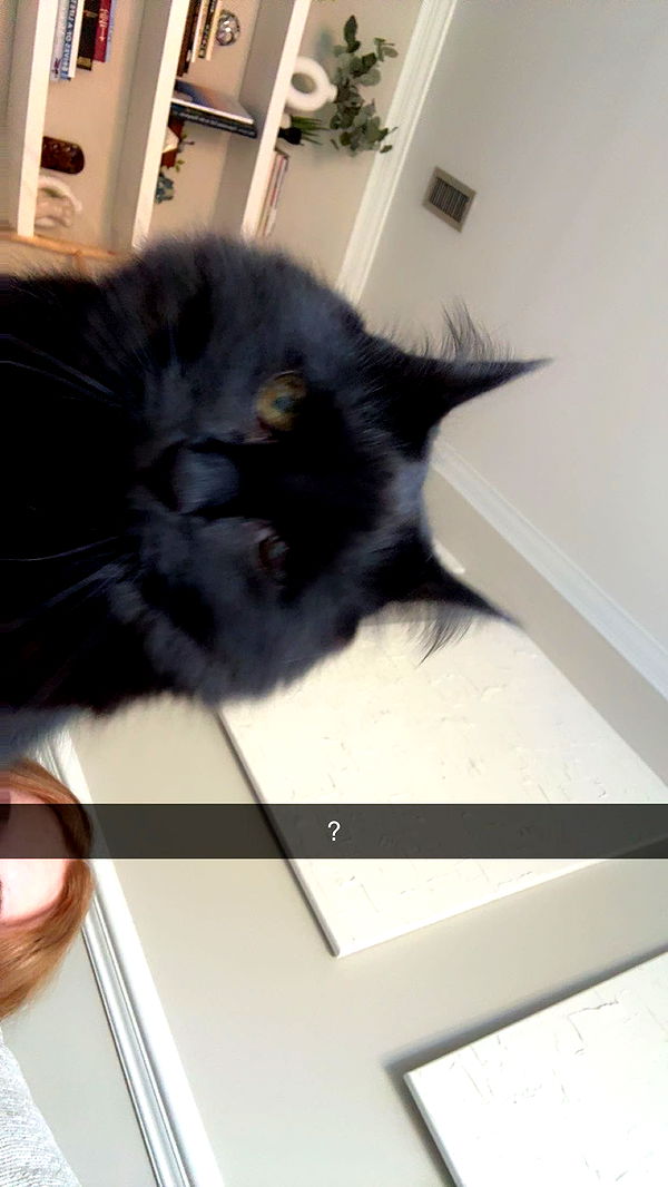 xxxtinacarmella image ~ Altpins